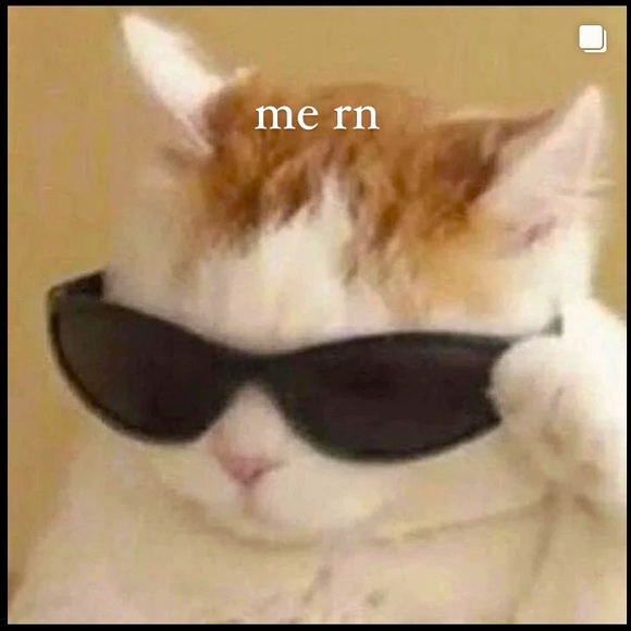 Meet your Posher, Victoria or tori :) <3 - Picture 3 of 14